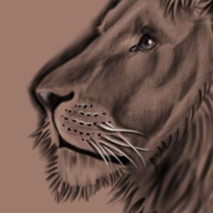 Meet your Posher, Manny